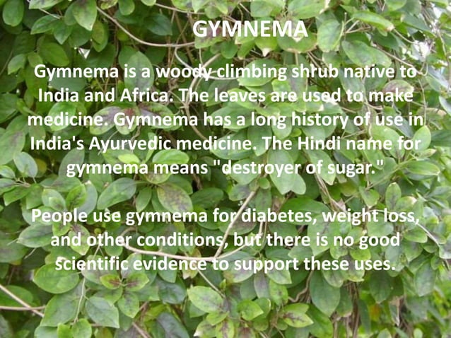 gymnema-and-apamarg-pharmacognosy-ppt
