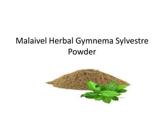 Malaivel Herbal Gymnema Sylvestre
Powder
 