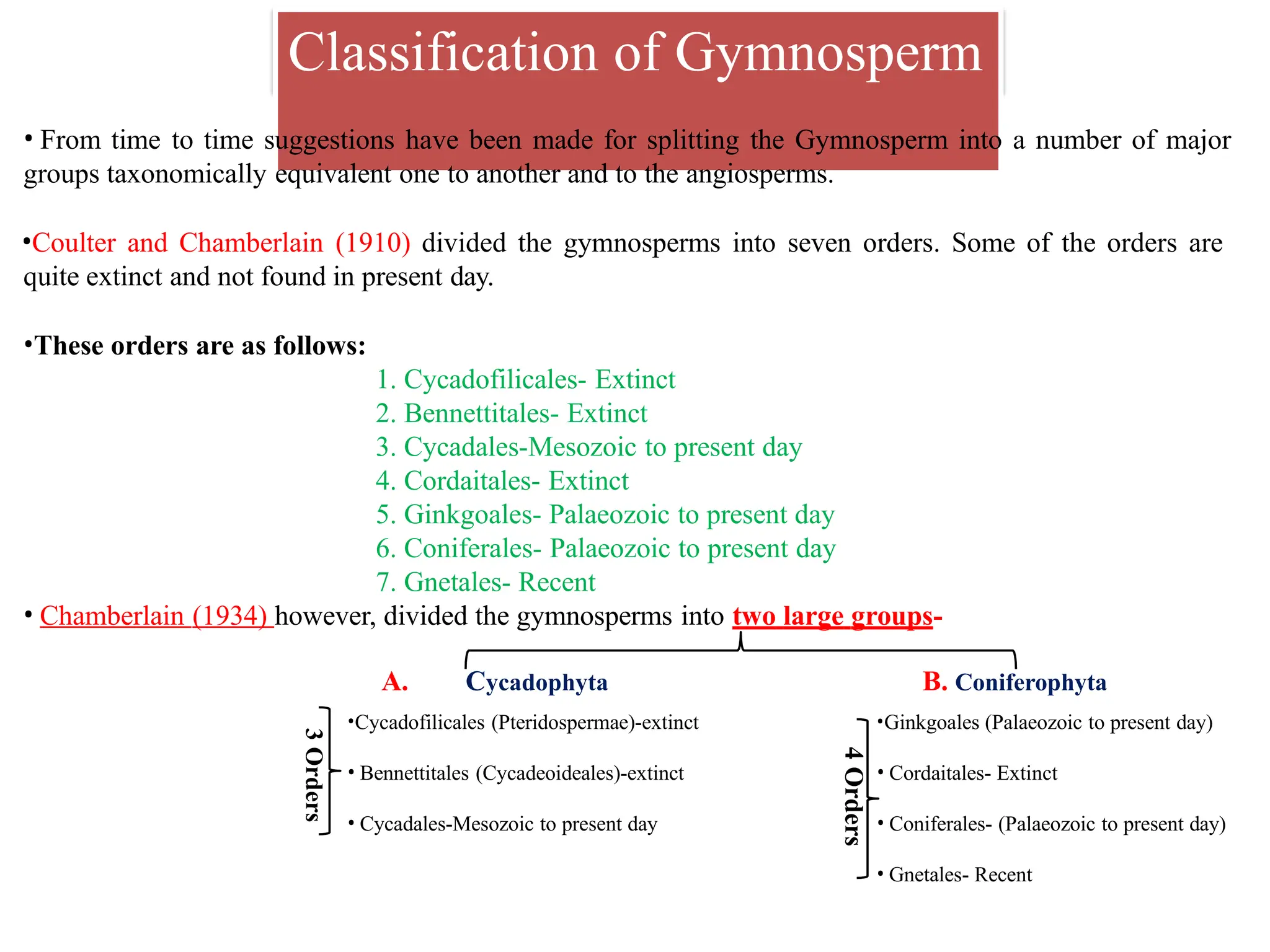 Gymnosperm.pptx general character and affinities | PPTX