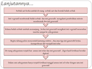 Lanjutannya...
Serbuk sari berkecambah di ruang serbuk sari dan bentuk buluh serbuk
Inti vegetatif membentuk buluh serbuk dan inti generafit mengalami pembelahan mitosis
membentuk dua inti generatif
Selama buluh serbuk tumbuh memanjang , kedua inti generatif mengikuti inti vegetatif menembus
nuselus sampai ke arkegonium
Begitu tabung polen menyentuh kantumg embrio , dua atau tiga inti gametofit betina
memperbesar dan menjadi inti telur
Di ruang arkegonium terjadi fusi antara inti telur dan inti generatif . Zigot hasil fertilisasi bersifat
diploid
Dalam satu arkegonium hanya terjadi fertilisasi tunggal antara inti sel telur dengan satu inti
generatif
 