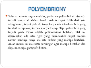 Selama perkembangan embrio, peristiwa poliembrioni bisa saja
terjadi karena di dalam bakal buah terdapat lebih dari satu
arkegonium, tetapi pada akhirnya hanya ada sebuah embrio yang
tumbuh sempurna, karena sisanya lenyap. Tipe poliembrio yang
terjadi pada Pinus adalah poliembrioni belahan. Hal ini
dikarenakan ada satu zigot yang membentuk empat embrio
namun nantinya hanya ada satu embrio yang mampu bertahan.
Antar enbrio ini ada suatu persaingan agar mampu bertahan dan
dapat mencapai gametofit betina.
 