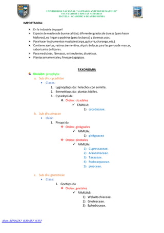 UNIVERSIDAD NACIONAL “SANTIAGO ANTUNEZ DEMAYOLO”
FACULTAD DECIENCIAS AGRARIAS
ESCUELA ACADEMICA DEAGRONOMIA
Alum: RONALDO ROSARIO SOTO
IMPORTANCIA:
 En la industriade papel
 Especie de maderade buenacalidad,diferentesgradosde dureza (parahacer
fósforos),nolleganapodrirse (paralosbarco) y diversosusos.
 Para hacer Instrumentosmusicales(arpa,guitarra,charango,etc.)
 Contiene aceites,resinastrementina,alquitránlacasparalasgomasde mascar,
saborizante de licores.
 Para medicinas,fármacos,estimulantes,diuréticos.
 Plantasornamentales,finespedagógicos.
TAXONOMIA
División: pinophyta:
a. Sub div: cycadidae
 Clases:
1. Lyginoptopsida: helechos con semilla.
2. Bennettiopsida: plantas fósiles.
3. Cycadopsida:
 Orden: cicadales
 FAMILIA:
1) cycadaceae.
b. Sub div: pinacae
 clase:
1. Pinopsida
 Orden: ginkgoales
 FAMILIA:
1) ginkgoacea
 Orden: pinotales
 FAMILIA:
1) Cupressaceae.
2) Araucariaceae.
3) Taxaceae.
4) Podocarpaceae.
5) pinaceae.
c. Sub div: gneteticae
 Clase:
1. Gnetopsida
 Orden: gnetales
 FAMILIAS:
1) Welwitschiaceae.
2) Gneteaceae.
3) Ephedraceae.
 