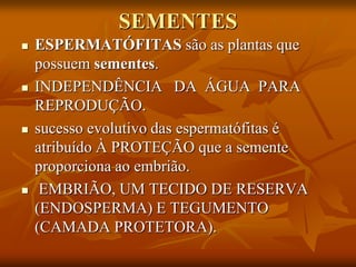 SEMENTES
 ESPERMATÓFITAS são as plantas que
possuem sementes.
 INDEPENDÊNCIA DA ÁGUA PARA
REPRODUÇÃO.
 sucesso evolutivo das espermatófitas é
atribuído À PROTEÇÃO que a semente
proporciona ao embrião.
 EMBRIÃO, UM TECIDO DE RESERVA
(ENDOSPERMA) E TEGUMENTO
(CAMADA PROTETORA).
 