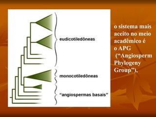 o sistema mais
aceito no meio
acadêmico é
o APG
(“Angiosperm
Phylogeny
Group”),
 