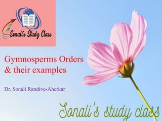 Gymnosperms Orders
& their examples
Dr. Sonali Randive-Aherkar
 