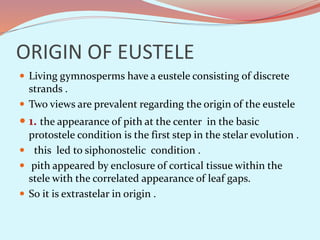 ORIGIN OF EUSTELE
 Living gymnosperms have a eustele consisting of discrete
strands .
 Two views are prevalent regarding the origin of the eustele
 1. the appearance of pith at the center in the basic
protostele condition is the first step in the stelar evolution .
 this led to siphonostelic condition .
 pith appeared by enclosure of cortical tissue within the
stele with the correlated appearance of leaf gaps.
 So it is extrastelar in origin .
 