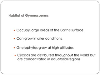 Habitat of Gymnosperms



   Occupy large areas of the Earth's surface

   Can grow in drier conditions


   Gnetophytes grow at high altitudes

    Cycads are distributed throughout the world but
    are concentrated in equatorial regions
 