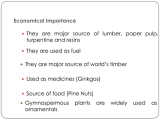 Economical Importance

   They are major source of lumber, paper pulp,
    turpentine and resins

   They are used as fuel

   They are major source of world’s timber


   Used as medicines (Ginkgos)


   Source of food (Pine Nuts)

   Gymnospermous     plants     are   widely   used   as
   ornamentals
 