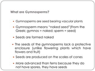What are Gymnosperms?

  Gymnosperms are seed bearing vascular plants

  Gymnosperm means “naked seed”(From the
  Greek: gymnos = naked; sperm = seed)

  Seeds are formed naked

 The seeds of the gymnosperms lack a protective
  enclosure (unlike flowering plants which have
  flowers and fruit)
  Seeds are produced on the scales of cones

  More advanced than ferns because they do
  not have spores, they have seeds
 