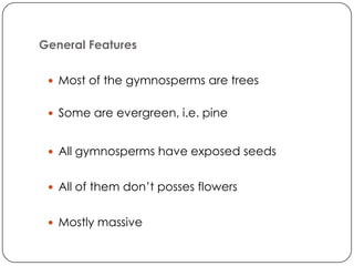 General Features

  Most of the gymnosperms are trees


  Some are evergreen, i.e. pine


  All gymnosperms have exposed seeds


  All of them don’t posses flowers


  Mostly massive
 
