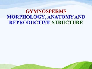 GYMNOSPERMS
MORPHOLOGY, ANATOMYAND
REPRODUCTIVE STRUCTURE
 