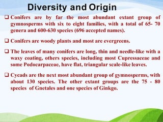Diversity and Origin
 Conifers are by far the most abundant extant group of
gymnosperms with six to eight families, with a total of 65- 70
genera and 600-630 species (696 accepted names).
 Conifers are woody plants and most are evergreens.
 The leaves of many conifers are long, thin and needle-like with a
waxy coating, others species, including most Cupressaceae and
some Podocarpaceae, have flat, triangular scale-like leaves.
 Cycads are the next most abundant group of gymnosperms, with
about 130 species. The other extant groups are the 75 - 80
species of Gnetales and one species of Ginkgo.
 