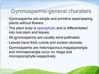 Gymnosperms-general charaters
Gymnosperms are simple and primitive seed-bearing
plants without flowers.
The plant body is sporophytic and is differentiated
into root,stem and leaves.
All gymnosperms are usually wind-pollinated.
Leaves have thick cuticle and sunken stomata.
Gymnosperms are heterosporous.magasporangia
and microsporangia occur on mega and
microsporophylls respectively.
 