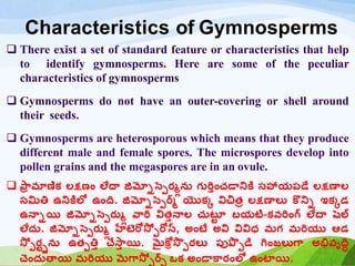 Characteristics of Gymnosperms
 There exist a set of standard feature or characteristics that help
to identify gymnosperms. Here are some of the peculiar
characteristics of gymnosperms
 Gymnosperms do not have an outer-covering or shell around
their seeds.
 Gymnosperms are heterosporous which means that they produce
different male and female spores. The microspores develop into
pollen grains and the megaspores are in an ovule.
 ప్ా
ర మాణిక్ లక్షణం లేదా జిమ్నోస్పెర్మలును గ్ురితంచడానికర సహాయపడే లక్షణాల
సమిత్త ఉనికరలో ఉంది. జిమ్నోస్పెర్మ్ యొక్క విచ్త్ర లక్షణాలు కొనిో ఇక్కడ్
ఉనాోయి జిమ్నోస్పెర్మ్లు వారి విత్తనాల చుటట
ు బయటి-క్వరింగ్ లేదా షపల్
లేదు. జిమ్నోస్పెర్మ్లు హేట్రోస్ర ెరోస్, అంటే అవి వివిధ మగ్ మరియు ఆడ్
స్ర ెర్ము్ును ఉత్ెత్తత చేస్ా
త యి. మైకోిస్ప ెర్మలు పుప్ప ెడి గింజలుగా అభివృదిధ
చెందుతాయి మరియు మగాస్ర ెర్మస ఒక్ అండాకార్మంలో ఉంటాయి.
 