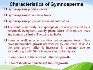 Characteristics of Gymnosperms
 Gymnosperms produce cones.
 Gymnosperms do not bear fruits.
 Gymnosperms propagate via wind pollination.
 The adult plant body is a sporophyte. It is represented by a
perennial, evergreen, woody plant. Most of them are trees
and some are shrubs. There are no herbs.
 Pinus as well as other conifers are evergreen trees. They
have monopodial growth represented by one main axis. As
the axis grows taller it increases in diameter due to
secondary growth. Stem branches are of two types:
1. Long shoots or branches of unlimited growth.
2. Dwarf shoots or branches of limited growth
 