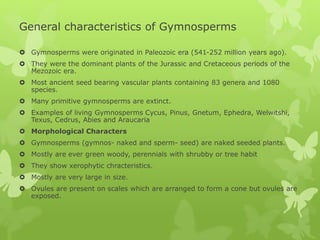 General characteristics of Gymnosperms
 Gymnosperms were originated in Paleozoic era (541-252 million years ago).
 They were the dominant plants of the Jurassic and Cretaceous periods of the
Mezozoic era.
 Most ancient seed bearing vascular plants containing 83 genera and 1080
species.
 Many primitive gymnosperms are extinct.
 Examples of living Gymnosperms Cycus, Pinus, Gnetum, Ephedra, Welwitshi,
Texus, Cedrus, Abies and Araucaria
 Morphological Characters
 Gymnosperms (gymnos- naked and sperm- seed) are naked seeded plants.
 Mostly are ever green woody, perennials with shrubby or tree habit
 They show xerophytic chracteristics.
 Mostly are very large in size.
 Ovules are present on scales which are arranged to form a cone but ovules are
exposed.
 