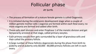 Follicular phase
At birth
• The process of formation of a mature female gamete is called Oogenesis.
• It is initiated during the embryonic development stage when a couple of
million gamete mother cells ( oogonia) are formed within each fetal ovary; no
more oogonia are formed and added after birth.
• These cells start division and enter Prophase 1 of the meiotic division and get
temporarily arrested at that stage, called primary oocytes.
• Each primary oocyte then gets surrounded by a layer of granulosa cells and
then called the primary follicle.
• A large number of these follicles degenerate during the phase from birth to
puberty and at puberty only 60,000 - 80,000 primary follicles are left in each
ovary.
 