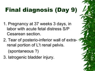 Final diagnosis (Day 9) 1. Pregnancy at 37 weeks 3 days, in labor with acute fetal distress S/P Cesarean section. 2. Tear of posterio-inferior wall of extra-renal portion of L't renal pelvis. (spontaneous ?) 3. Iatrogenic bladder injury. 
