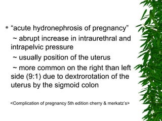 “ acute hydronephrosis of pregnancy” ~ abrupt increase in intraurethral and intrapelvic pressure ~ usually position of the uterus ~ more common on the right than left side (9:1) due to dextrorotation of the uterus by the sigmoid colon <Complication of pregnancy 5th edition cherry & merkatz’s> 
