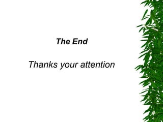 The End Thanks your attention 