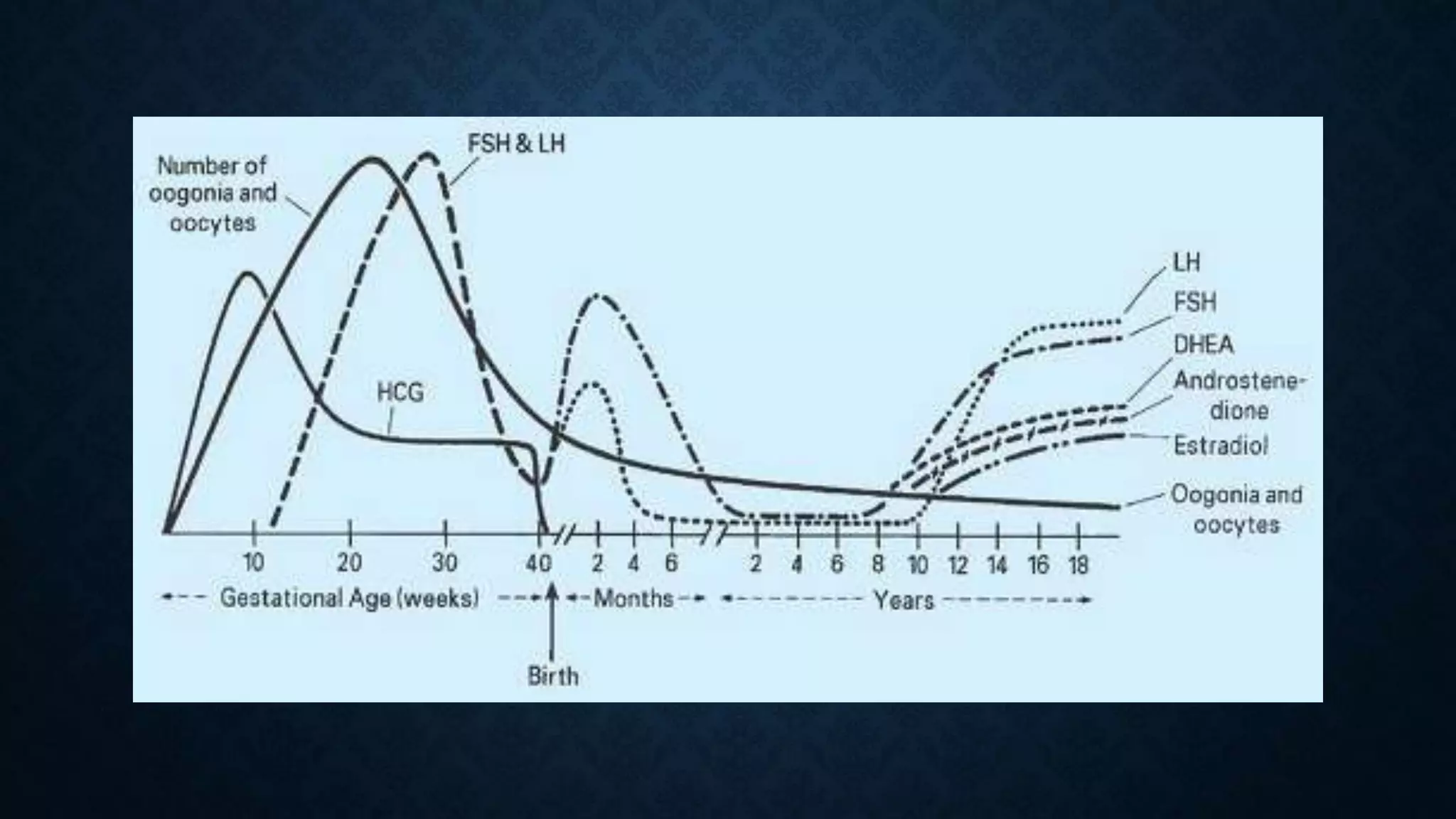 Hormones during puberty and menopause , Gynaecology. | PPTX