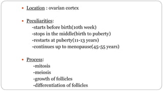 spermatogenesis oogenesis ovulation fertilization