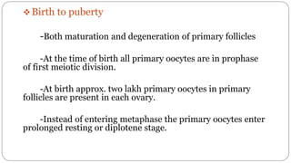 spermatogenesis oogenesis ovulation fertilization