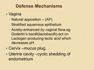 Defense Mechanisms
 Vagina
◦ Natural apposition – (AP)
◦ Stratified squamous epithelium
◦ Acidity-enhanced by vaginal flora eg
Doderlin’s bacilli(lactobacilli)-act on
Lactogen producing lactic acid which
decreases pH.
 Cervix –mucus plug.
 Uterine cavity –cyclic shedding of
endometrium
 