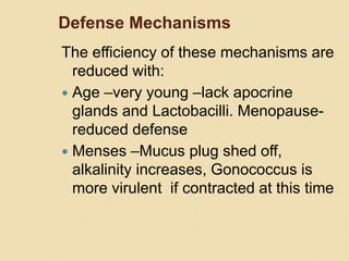 Defense Mechanisms
The efficiency of these mechanisms are
reduced with:
 Age –very young –lack apocrine
glands and Lactobacilli. Menopause-
reduced defense
 Menses –Mucus plug shed off,
alkalinity increases, Gonococcus is
more virulent if contracted at this time
 