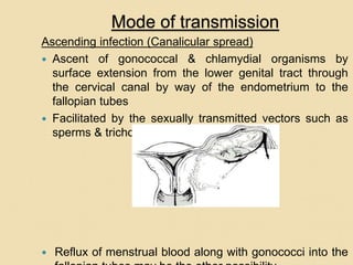 Mode of transmission
Ascending infection (Canalicular spread)
 Ascent of gonococcal & chlamydial organisms by
surface extension from the lower genital tract through
the cervical canal by way of the endometrium to the
fallopian tubes
 Facilitated by the sexually transmitted vectors such as
sperms & trichomonads
 Reflux of menstrual blood along with gonococci into the
 