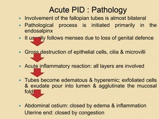 Acute PID : Pathology
 Involvement of the fallopian tubes is almost bilateral
 Pathological process is initiated primarily in the
endosalpinx
 It usually follows menses due to loss of genital defence
 Gross destruction of epithelial cells, cilia & microvilli
 Acute inflammatory reaction: all layers are involved
 Tubes become edematous & hyperemic; exfoliated cells
& exudate pour into lumen & agglutinate the mucosal
folds
 Abdominal ostium: closed by edema & inflammation
Uterine end: closed by congestion
 