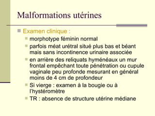 Malformations utérines ,[object Object],[object Object],[object Object],[object Object],[object Object],[object Object]