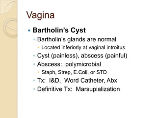 Vagina


Bartholin’s Cyst
◦ Bartholin’s glands are normal
 Located inferiorly at vaginal introitus

◦ Cyst (painless), abscess (painful)
◦ Abscess: polymicrobial
 Staph, Strep, E.Coli, or STD

◦ Tx: I&D, Word Catheter, Abx
◦ Definitive Tx: Marsupialization

 