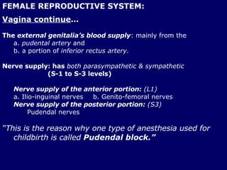 FEMALE REPRODUCTIVE SYSTEM: Vagina continue … The  external genitalia’s blood supply : mainly from the  a.  pudental artery   and  b. a portion of   inferior rectus artery.   Nerve supply: has   both parasympathetic & sympathetic   (S-1 to S-3 levels) Nerve supply of the anterior portion:  (L1) a. Ilio-inguinal nerves  b. Genito-femoral nerves  Nerve supply of the   posterior portion:  (S3)   Pudendal nerves   “ This is the reason why one type of anesthesia used for childbirth is called  Pudendal block.” 