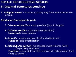 FEMALE REPRODUCTIVE SYSTEM: B.  Internal Structures continue 2. Fallopian Tubes  – 4 inches (10 cm) long from each sides of the fundus; Divided on four separate part: 1. Intramural portion-  most proximal (1cm in length)  2. Isthmus portion-  extremely narrow (2cm)  Important:  tubal ligation 3. Ampulla-  longest portion (5cm) and widest part  Function:  site of fertilization 4. Infundibular portion-  funnel shape with Fimbrae (2cm)  finger like projections.  Function:  responsible for the transport of mature ovum from ovary to uterus.  