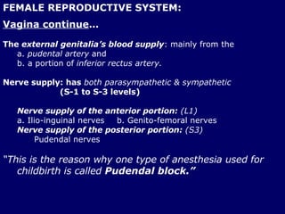 FEMALE REPRODUCTIVE SYSTEM: Vagina continue … The  external genitalia’s blood supply : mainly from the  a.  pudental artery   and  b. a portion of   inferior rectus artery.   Nerve supply: has   both parasympathetic & sympathetic   (S-1 to S-3 levels) Nerve supply of the anterior portion:  (L1) a. Ilio-inguinal nerves  b. Genito-femoral nerves  Nerve supply of the   posterior portion:  (S3)   Pudendal nerves   “ This is the reason why one type of anesthesia used for childbirth is called  Pudendal block.” 