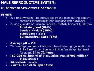MALE REPRODUCTIVE SYSTEM: B. Internal Structures continue SEMEN:   Is a thick whitish fluid ejaculated by the male during orgasm,  contains  spermatozoa  and  fructose-rich nutrients.  During ejaculation, semen receives contributions of fluid from  Prostate gland (60%) Seminal vesicle (30%) Epididymis ( 5%) Bulbourethral gland (5%) Average pH = 7.5 The average amount of semen released during ejaculation is  2.5 -5 ml . It can live with in the female genital tract  for about  24 to 72 hours .  (50-200 million/ml of ejaculation ave. of 400 million/  ejaculation ) 90 seconds-  cervix 5 mins.-  end of fallopian tube 