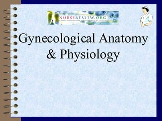<ul><li>Gynecological Anatomy & Physiology </li></ul>