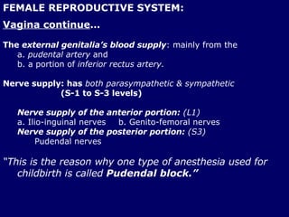 FEMALE REPRODUCTIVE SYSTEM: <ul><li>Vagina continue … </li></ul><ul><li>The  external genitalia’s blood supply : mainly fr...