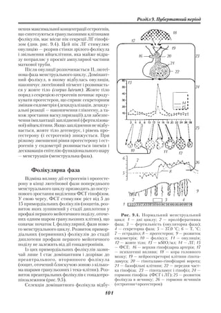 Розділ 9. Пубертатний період

нення максимальної концентрації естрогенів,
що синтезуються гранульозними клітинами                                            18
фолікулів, має місце пік секреції ЛГ гіпофі            17
зом (див. рис. 9.4). Цей пік ЛГ стимулює
овуляцію — розрив стінки зрілого фолікула                                        19
і звільнення яйцеклітини, яка майже відра                      16           20                23
зу потрапляє у просвіт ампулярної частини
маткової труби.                                                                21
    Після овуляції розпочинається ІІ, лютеї                                         22
нова фаза менструального циклу. Домінант
ний фолікул, в якому відбулась овуляція,
                                                      13
накопичує лютеїновий пігмент і розвиваєть                                                     24
ся у жовте тіло (corpus luteum). Жовте тіло
поряд з секрецією естрогенів починає проду
кувати прогестерон, що сприяє секреторним
                                                                                         14
змінам ендометрія (децидуалізація, дециду                                                15
альні реакції — накопичення глікогену, а та
кож зростання васкуляризації) для забезпе
чення імплантації заплідненої (фертилізова
ної) яйцеклітини. Якщо запліднення не відбу
                                                                                              25
вається, жовте тіло дегенерує, і рівень про
гестерону (і естрогенів) знижується. При
різкому зменшенні рівня прогестерону і ест
рогенів у ендометрії розвивається ішемія і
десквамація епітелію функціонального шару              10                 11            12
— менструація (менструальна фаза).                6            7                              26
      Фолікулярна фаза                            5                            8
   Відміна впливу дії естрогенів і прогесте
рону в кінці лютеїнової фази попереднього
менструального циклу призводить до посту                                                      9
пового зростання виділення ФСГ гіпофізом.
У свою чергу, ФСГ стимулює ріст від 5 до                   2               3             4
15 примордіальних фолікулів (ооцитів, роз         1
виток яких зупинений у стадії диплотени у
профазі першого мейотичного поділу, оточе         Рис. 9.4. Нормальний менструальний
них одним шаром гранульозних клітин), що      цикл: 1 — дні циклу; 2 — проліферативна
означає початок І, фолікулярної, фази ново    фаза; 3 — фертильність (овуляторна фаза);
го менструального циклу. Розвиток примор      4 — секреторна фаза; 5 — 37,0 °С; 6 — Т, °С;
діальних (первинних) фолікулів до стадії      7 — естрадіол; 8 — прогестерон; 9 — розвиток
диплотени профази першого мейотичного         ендометрія; 10 — фолікул; 11 — овуляція;
поділу не залежить від дії гонадотропінів.    12 — жовте тіло; 13 — мМО/мл; 14 — ЛГ; 15
                                              — ФСГ; 16 — верхня гіпофізарна артерія; 17
   Із цих примордіальних фолікулів зазви      — психогенні впливи; 18 — кора головного
чай лише 1 стає домінантним і дозріває до     мозку; 19 — нейросекреторні клітини гіпота
преантрального, вторинного фолікула           ламуса; 20 — гіпоталамо гіпофізарні ворота;
(ооцит, оточений блискучою зоною з кілько     21 — базофільні клітини; 22 — передня част
ма шарами гранульозних і тека клітин). Роз    ка гіпофіза; 23 — гіпоталамус і гіпофіз; 24 —
виток преантральних фолікулів є гонадотро     гормони гіпофіза (ФСГ і ЛГ); 25 — розвиток
пінзалежним (рис. 9.5).                       фолікула в яєчнику; 26 — гормони яєчників
   Селекція домінантного фолікула відбу       (естрогени+прогестерон)

                                        101
 