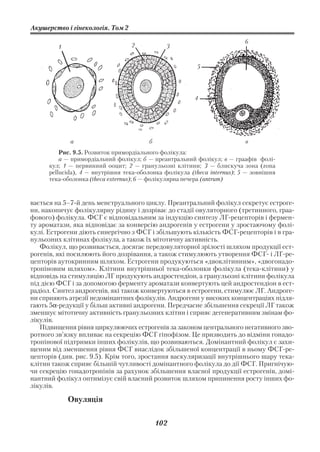 Акушерство і гінекологія. Том 2

                                                                          6
         1                        2            3


                                                         5




                                                        4




             а                          б                                 в
          Рис. 9.5. Розвиток примордіального фолікула:
          а — примордіальний фолікул; б — преантральний фолікул; в — граафів фолі
      кул; 1 — первинний ооцит; 2 — гранульозні клітини; 3 — блискуча зона (zona
      pellucida), 4 — внутрішня тека оболонка фолікула (theca internus); 5 — зовнішня
      тека оболонка (theca externus); 6 — фолікулярна печера (antrum)



вається на 5–7 й день менструального циклу. Преантральний фолікул секретує естроге
ни, накопичує фолікулярну рідину і дозріває до стадії овуляторного (третинного, граа
фового) фолікула. ФСГ є відповідальним за індукцію синтезу ЛГ рецепторів і фермен
ту ароматази, яка відповідає за конверсію андрогенів у естрогени у зростаючому фолі
кулі. Естрогени діють синергічно з ФСГ і збільшують кількість ФСГ рецепторів і в гра
нульозних клітинах фолікула, а також їх мітотичну активність.
   Фолікул, що розвивається, досягає передовуляторної зрілості шляхом продукції ест
рогенів, які посилюють його дозрівання, а також стимулюють утворення ФСГ і ЛГ ре
цепторів аутокринним шляхом. Естрогени продукуються «двоклітинним», «двогонадо
тропіновим шляхом». Клітини внутрішньої тека оболонки фолікула (тека клітини) у
відповідь на стимуляцію ЛГ продукують андростендіон, а гранульозні клітини фолікула
під дією ФСГ і за допомогою ферменту ароматази конвертують цей андростендіон в ест
радіол. Синтез андрогенів, які також конвертуються в естрогени, стимулює ЛГ. Андроге
ни сприяють атрезії недомінантних фолікулів. Андрогени у високих концентраціях підля
гають 5α редукції у більш активні андрогени. Передчасне збільшення секреції ЛГ також
зменшує мітотичну активність гранульозних клітин і сприяє дегенеративним змінам фо
лікулів.
   Підвищення рівня циркулюючих естрогенів за законом центрального негативного зво
ротного зв’язку впливає на секрецію ФСГ гіпофізом. Це призводить до відміни гонадо
тропінової підтримки інших фолікулів, що розвиваються. Домінантний фолікул є захи
щеним від зменшення рівня ФСГ внаслідок збільшеної концентрації в ньому ФСГ ре
цепторів (див. рис. 9.5). Крім того, зростання васкуляризації внутрішнього шару тека
клітин також сприяє більшій чутливості домінантного фолікула до дії ФСГ. Пригнічую
чи секрецію гонадотропінів за рахунок збільшення власної продукції естрогенів, домі
нантний фолікул оптимізує свій власний розвиток шляхом припинення росту інших фо
лікулів.

             Овуляція

                                            102
 