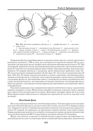 Розділ 9. Пубертатний період

                               2           3                 7            10
                  1

                                                            8



                                                                 9

                                   4


                                       5             6
                                                                     11

                      а                          б                        в
          Рис. 9.6. Овуляція граафового фолікула: а — граафів фолікул; б — овуляція;
      в — жовте тіло:
          1 — фолікулярна печера; 2 — внутрішня тека оболонка; 3 — гранульозні кліти
      ни; 4 — перше полярне тільце; 5 — ооцит у ІІ мейотичному діленні; 6 — яйценос
      ний горбок (cumulus oophorus); 7 — строма яєчника; 8 — зовнішня тека оболонка;
      9 — кровоносні судини; 10 — лютеїнові клітини; 11 — фібрин


   Наприкінці фолікулярної фази рівень естрогенів значно зростає і досягає критичного
(пікового) значення (> 200 пг/мл), що спостерігається протягом близько 50 год, що є
тригером для передньої частки гіпофіза щодо звільнення максимальної кількості ЛГ. Цей
позитивний зворотний зв’язок між підвищенням рівня естрогенів і зростанням концент
рації ЛГ посилюється низьким рівнем прогестерону. Овуляція виникає внаслідок інду
кованого ЛГ розриву фолікула і звільнення зрілої яйцеклітини приблизно через 34–
36 год після початку підвищення рівня ЛГ або через 10–12 год після досягнення піка ЛГ
(рис. 9.6). Пік ЛГ ініціює відновлення мейозу в ооциті, спричинює лютеїнізацію грану
льозних клітин фолікула і стимулює синтез простагландинів і прогестерону, необхідний
для розриву фолікула. Дегенеративні зміни у стінці фолікула можуть розвиватися вна
слідок деструкції колагену, що спричинює як пасивне зменшення, так і розрив фолікула.
Простагландини і лізосомальні ензими (протеази) спричинюють дегенеративні зміни у
стінці фолікула.
   Овуляція супроводжується завершенням першого мейотичного поділу з виділенням
першого полярного тільця. Яйцеклітина звичайно потрапляє в маткову трубу і завдяки
руху війок її епітелію просувається в матку. Цей процес звичайно триває від 3 до 4 днів.
Якщо фертилізація яйцеклітини не відбувається протягом 24 год після овуляції, вона
дегенерує.

            Лютеїнова фаза
   Після овуляції розпочинається лютеїнова фаза циклу. Клітини гранульози і внутріш
ньої тека оболонки фолікула, що вистеляють його стінку, під дією ЛГ утворюють жовте
тіло. Тривалість життя і стероїдогенна активність жовтого тіла залежать від тривалої то
нічної ЛГ секреції, що приводить до збільшення секреції жовтим тілом прогестерону.
Нормальна функція жовтого тіла потребує оптимального преовуляторного розвитку фо
лікула (тобто адекватної ФСГ стимуляції) та постійної тонічної ЛГ підтримки.
   Жовте тіло синтезує естрогени і в значній кількості прогестерон, що спричинює по
дальший розвиток залоз та секреторні зміни в ендометрії (васкуляризація, накопичення

                                           103
 