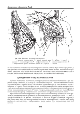 Акушерство і гінекологія. Том 2

                                      7



                                                                                8




                                  4
3                                 5

2                                  6



 1




                                               11


                                          10         10           9
         Рис. 22.1. Анатомія молочної залози жінки:
         1 — великий грудний м’яз; 2 — малий грудний м’яз; 3 — ребро; 4 — жир; 5 —
      залози; 6 — молочні протоки; 7 — лімфатичні вузли; 8 — великий грудний м’яз; 9
      — лімфатичний дренаж молочної залози; 10 — ареола; 11 — сосок

но альвеолярний розвиток, що забезпечує можливість лактації. Пролактин бере участь у
продукції молока, тимчасом як окситоцин сприяє виділенню молока. Зменшення естро
генної насиченості організму в постменопаузі призводить до тканинної атрофії, втрати
строми, заміщення атрофічних часток молочної залози жировою тканиною.

            Дослідження стану молочної залози
   Рутинне обстеження молочної залози проводиться шляхом самообстеження і при що
річних профілактичних оглядах усіх жінок старше 20 років. Самообстеження молочних
залоз виконується приблизно на 5 й день менструального циклу, коли молочна залоза є
найменш чутливою. Лікарське обстеження включає уважний огляд шкіри, кольору і кон
турів молочної залози, пальпацію регіонарних лімфовузлів, тканини молочної залози з
метою виявлення патологічних об’ємних утворень, виділень із сосків або болю. Нерідко
пацієнтка або її партнер самі виявляють патологічне утворення в молочній залозі.
   Крім самообстеження і щорічного лікарського обстеження стану молочної залози, тре
тьою складовою частиною рутинного огляду є скринінгова мамографія кожні 1–2 роки у
жінок віком між 40 і 50 роками і щорічно після 50 років. Жінки з наявністю в анамнезі
сімейного раку молочної залози повинні починати мамографічний скринінг на 5 років
раніше того віку, в якому у наймолодшого члена родини було виявлено рак молочної
залози.

                                               232
 