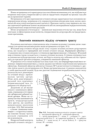 Розділ 8. Нетримання сечі

   Повне нетримання сечі характеризується постійним виливанням сечі, яке відбувається
вторинно внаслідок утворення фістул (після хірургічних операцій на органах таза або
після променевої терапії).
   Нетримання сечі при переповненні сечового міхура характеризується неповним ви
порожненням міхура, затримкою сечі, перерозтягненням міхура внаслідок значно змен
шеної або відсутньої контрактильної здатності. Причини такого стану варіюють від тих,
що спричинені прийомом певних медикаментів або післяопераційним перерозтягненням,
до різноманітних неврологічних розладів.
   Нічне нетримання сечі (енурез) — мимовільне виділення сечі під час сну, може бути
пов’язане зі сфінктерною недостатністю, гіперактивністю детрузора або екстрауретраль
ними причинами.


             Анатомія нижнього відділу сечового тракту
    Розуміння анатомічних співвідношень між сечовими шляхами і тазовим дном є важ
ливим для оцінки механізмів різних видів нетримання сечі (рис. 8.1).
    М’язовий шар сечового міхура являє сітку гладких м’язових волокон детрузорного
м’яза, які сходяться в трикутній зоні основи сечового міхура. Внутрішній сфінктер є
з’єднанням між сечовим міхуром і сечівником (уретровезикальне з’єднання). М’язовий
шар сечівника також складається з гладких м’язових волокон. Сечівник підтримується
за допомогою пубоуретральних зв’язок, які беруть початок від лобкових кісток і прохо
дять до середньої третини сечівника, утворюючи зовнішній сфінктер.
    Утримання сечі в спокої відбувається внаслідок того, що інтрауретральний тиск пе
ревищує інтравезикальний тиск, а також завдяки постійним скороченням внутрішнього
сфінктера. Зовнішній сфінктер забезпечує близько 50 % резистентності сечівника і є дру
гою лінією захисту від нетримання сечі. Якщо уретровезикальне з’єднання знаходиться
у своїй оригінальній позиції, будь яке раптове підвищення інтраабдомінального тиску
розподіляється рівномірно
на сечовий міхур і прокси
мальну третину уретри.
Отже, доти, доки інтраурет         9
ральний тиск перевищує          І 8
інтравезикальний тиск, ут          7
римання сечі зберігається.
    Додатково до дії внутрі
шнього і зовнішнього сфінк
терів, утриманню сечі сприяє       6
дія субмукозної судинної сис       5
теми уретри. Якщо ця су
                                   4
динна система наповняються ІІ
кров’ю, інтрауретральний           3
тиск зростає, що запобігає         2
мимовільному виділенню             1
сечі (рис. 8.2). Цей механізм
— «слизове замикання коап                                                        10
                                                                                  10
тація» є естрогенчутливим,          Рис. 8.1. Анатомія нижнього відділу сечового тракту:
що пояснює більшу частоту           І — внутрішній сфінктер; ІІ —зовнішній сфінктер
розладів утримання сечі             1 — центр промежини; 2 — піхва; 3 — сечівник; 4 — урет
після менопаузи.                ровагінальний м’яз; 5 — m. compressor urethrae; 6 — m. sphincter
    Неврологічний контроль      urethrae; 7 — задня петля; 8 — петля Хейсса; 9 — трикутне
функцій сечового міхура і       кільце; 10 — сечовід;
                                              81
                                ІІ
 
