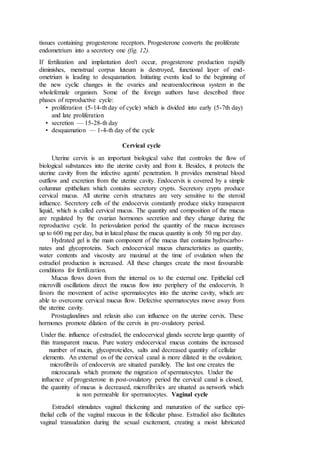 tissues containing progesterone receptors. Progesterone converts the proliferate
endometrium into a secretory one (fig. 12).
If fertilization and implantation don't occur, progesterone production rapidly
diminishes, menstrual corpus luteum is destroyed, functional layer of end-
ometrium is leading to desquamation. Initiating events lead to the beginning of
the new cyclic changes in the ovaries and neuroendocrinous system in the
wholefemale organism. Some of the foreign authors have described three
phases of reproductive cycle:
• proliferation (5-14-th day of cycle) which is divided into early (5-7th day)
and late proliferation
• secretion — 15-28-th day
• desquamation — 1-4-th day of the cycle
Cervical cycle
Uterine cervix is an important biological valve that controles the flow of
biological substances into the uterine cavity and from it. Besides, it protects the
uterine cavity from the infective agents' penetration. It provides menstrual blood
outflow and excretion from the uterine cavity. Endocervix is covered by a simple
columnar epithelium which contains secretory crypts. Secretory crypts produce
cervical mucus. All uterine cervix structures are very sensitive to the steroid
influence. Secretory cells of the endocervix constantly produce sticky transparent
liquid, which is called cervical mucus. The quantity and composition of the mucus
are regulated by the ovarian hormones secretion and they change during the
reproductive cycle. In periovulation period the quantity of the mucus increases
up to 600 mg per day, but in luteal phase the mucus quantity is only 50 mg per day.
Hydrated gel is the main component of the mucus that contains hydrocarbo-
nates and glycoproteins. Such endocervical mucus characteristics as quantity,
water contents and viscosity are maximal at the time of ovulation when the
estradiol production is increased. All these changes create the most favourable
conditions for fertilization.
Mucus flows down from the internal os to the external one. Epithelial cell
microvilli oscillations direct the mucus flow into periphery of the endocervix. It
favors the movement of active spermatocytes into the uterine cavity, which are
able to overcome cervical mucus flow. Defective spermatocytes move away from
the uterine cavity.
Prostaglandines and relaxin also can influence on the uterine cervix. These
hormones promote dilation of the cervix in pre-ovulatory period.
Under the. influence of estradiol, the endocervical glands secrete large quantity of
thin transparent mucus. Pure watery endocervical mucus contains the increased
number of mucin, glycoproteides, salts and decreased quantity of cellular
elements. An external os of the cervical canal is more dilated in the ovulation;
microfibrils of endocervix are situated parallely. The last one creates the
microcanals which promote the migration of spermatocytes. Under the
influence of progesterone in post-ovulatory period the cervical canal is closed,
the quantity of mucus is decreased, microfibriles are situated as network which
is non permeable for spermatocytes. Vaginal cycle
Estradiol stimulates vaginal thickening and maturation of the surface epi-
thelial cells of the vaginal mucous in the follicular phase. Estradiol also facilitates
vaginal transudation during the sexual excitement, creating a moist lubricated
 
