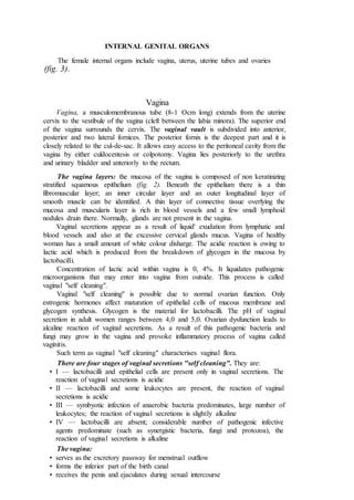 INTERNAL GENITAL ORGANS
The female internal organs include vagina, uterus, uterine tubes and ovaries
(fig. 3).
Vagina
Vagina, a musculomembranous tube (8-1 Ocm long) extends from the uterine
cervix to the vestibule of the vagina (cleft between the labia minora). The superior end
of the vagina surrounds the cervix. The vaginal vault is subdivided into anterior,
posterior and two lateral fornices. The posterior fornix is the deepest part and it is
closely related to the cul-de-sac. It allows easy access to the peritoneal cavity from the
vagina by either culdocentesis or colpotomy. Vagina lies posteriorly to the urethra
and urinary bladder and anteriorly to the rectum.
The vagina layers: the mucosa of the vagina is composed of non keratinizing
stratified squamous epithelium (fig. 2). Beneath the epithelium there is a thin
fibromuscular layer; an inner circular layer and an outer longitudinal layer of
smooth muscle can be identified. A thin layer of connective tissue overlying the
mucosa and muscularis layer is rich in blood vessels and a few small lymphoid
nodules drain there. Normally, glands are not present in the vagina.
Vaginal secretions appear as a result of liquid' exudation from lymphatic and
blood vessels and also at the excessive cervical glands mucus. Vagina of healthy
woman has a small amount of white colour disharge. The acidic reaction is owing to
lactic acid which is produced from the breakdown of glycogen in the mucosa by
lactobacilli.
Concentration of lactic acid within vagina is 0, 4%. It liquidates pathogenic
microorganisms that may enter into vagina from outside. This process is called
vaginal "self cleaning".
Vaginal "self cleaning" is possible due to normal ovarian function. Only
estrogenic hormones affect maturation of epithelial cells of mucous membrane and
glycogen synthesis. Glycogen is the material for lactobacilli. The pH of vaginal
secretion in adult women ranges between 4,0 and 5,0. Ovarian dysfunction leads to
alcaline reaction of vaginal secretions. As a result of this pathogenic bacteria and
fungi may grow in the vagina and provoke inflammatory process of vagina called
vaginitis.
Such term as vaginal "self cleaning" characterises vaginal flora.
There are four stages of vaginal secretions "self cleaning". They are:
• I — lactobacilli and epithelial cells are present only in vaginal secretions. The
reaction of vaginal secretions is acidic
• II — lactobacilli and some leukocytes are present, the reaction of vaginal
secretions is acidic
• III — symbyotic infection of anaerobic bacteria predominates, large number of
leukocytes; the reaction of vaginal secretions is slightly alkaline
• IV — lactobacilli are absent; considerable number of pathogenic infective
agents predominate (such as synergistic bacteria, fungi and protozoa), the
reaction of vaginal secretions is alkaline
The vagina:
• serves as the excretory passway for menstrual outflow
• forms the inferior part of the birth canal
• receives the penis and ejaculates during sexual intercourse
 