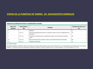 ETAPAS DE LA PUBERTAD DE TANNER EN ADOLESCENTES NORMALES
 