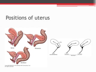 Gynecological examination | PPTX