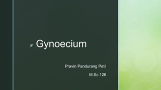 z Gynoecium
Pravin Pandurang Patil
M.Sc 126
 