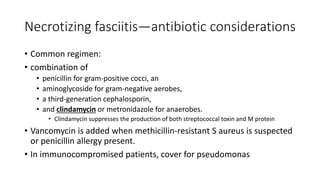 Necrotizing fasciitis—antibiotic considerations
• Common regimen:
• combination of
• penicillin for gram-positive cocci, an
• aminoglycoside for gram-negative aerobes,
• a third-generation cephalosporin,
• and clindamycin or metronidazole for anaerobes.
• Clindamycin suppresses the production of both streptococcal toxin and M protein
• Vancomycin is added when methicillin-resistant S aureus is suspected
or penicillin allergy present.
• In immunocompromised patients, cover for pseudomonas
 